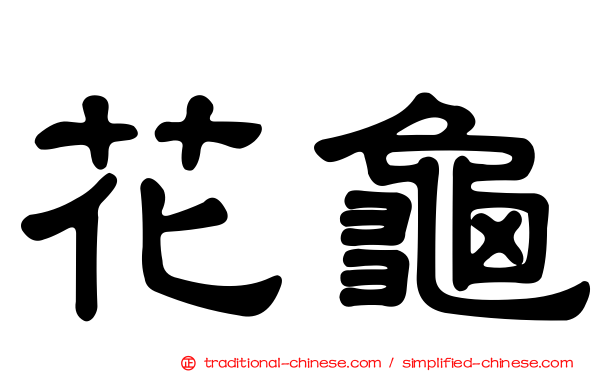 花龜