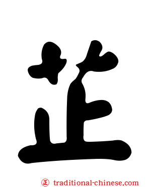 芷
