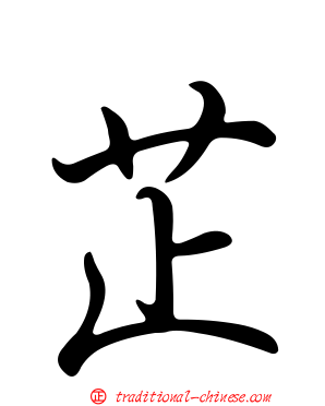 芷