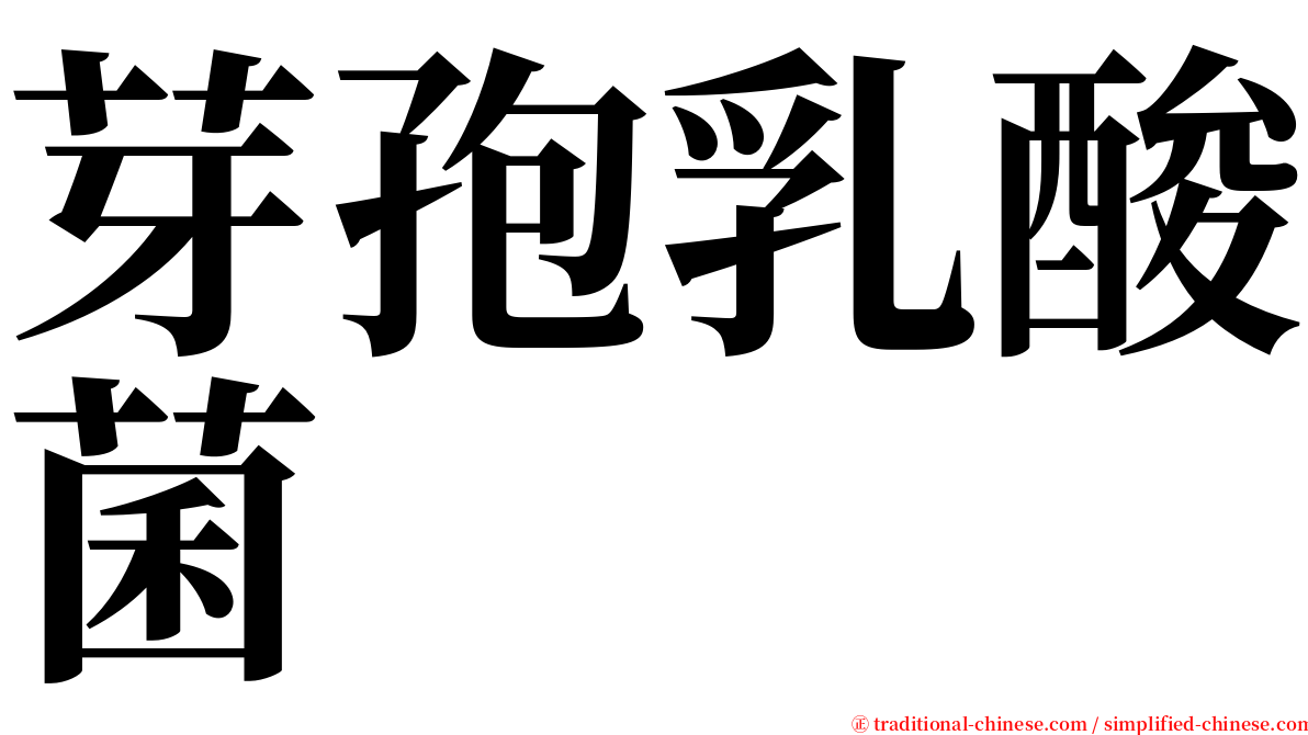 芽孢乳酸菌 serif font
