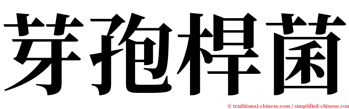 芽孢桿菌 serif font