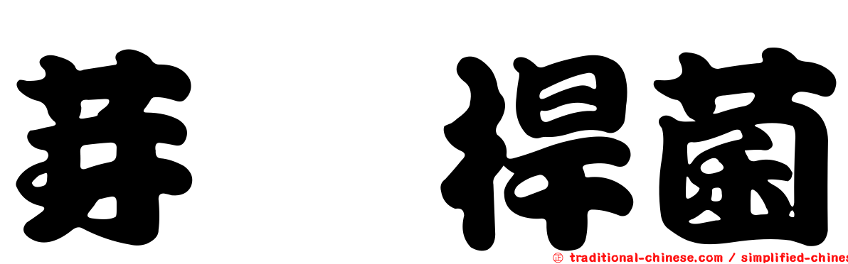 芽孢桿菌