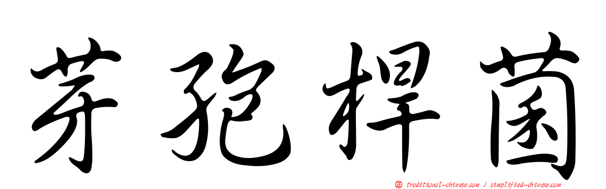 芽孢桿菌