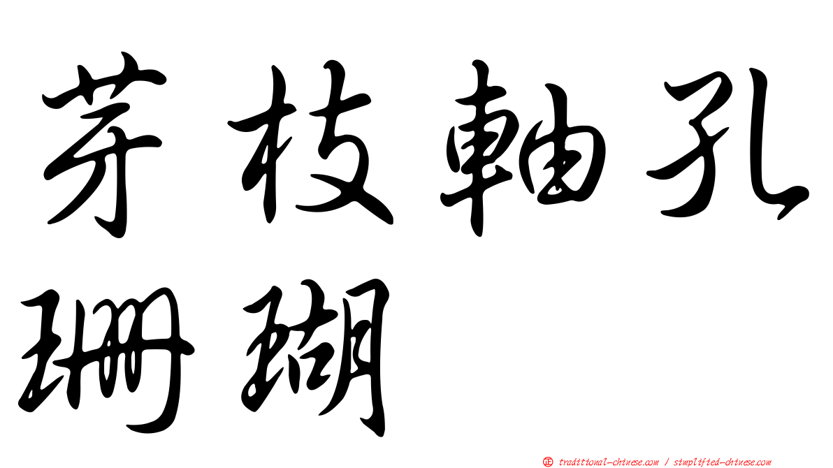 芽枝軸孔珊瑚