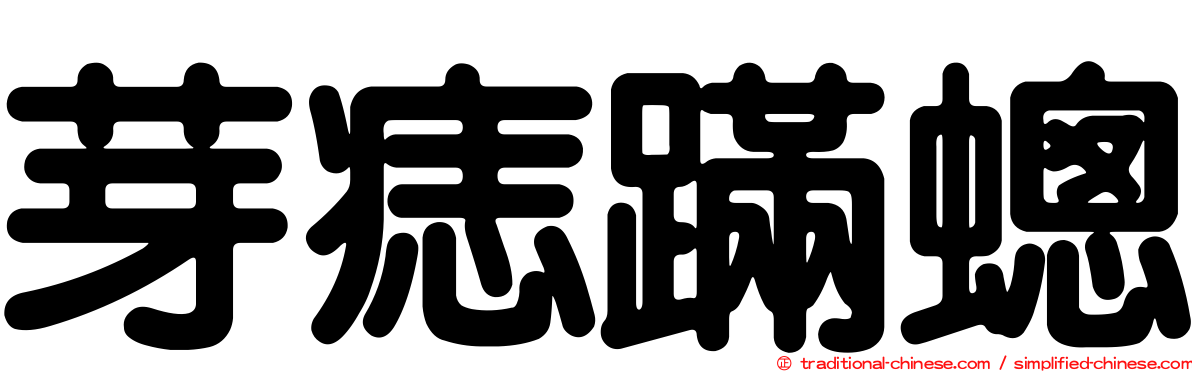 芽痣蹣蟌