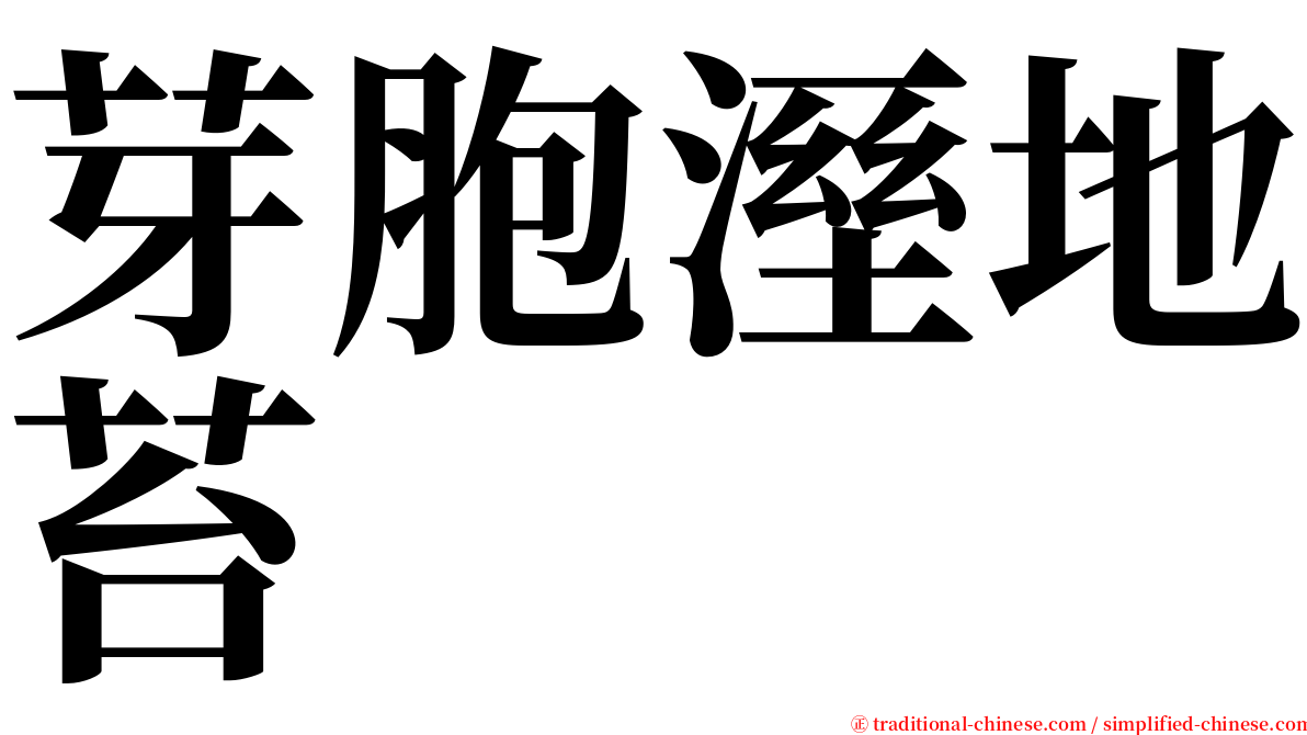 芽胞溼地苔 serif font