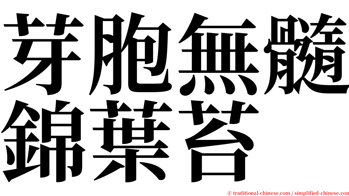 芽胞無髓錦葉苔 serif font