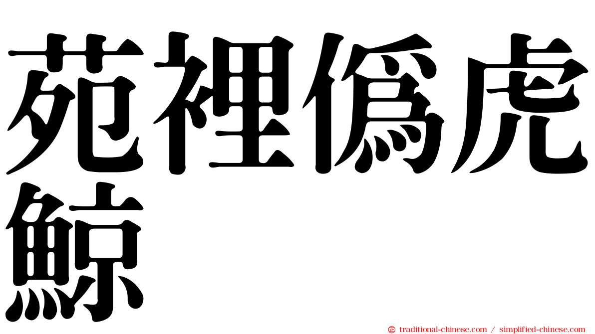 苑裡偽虎鯨