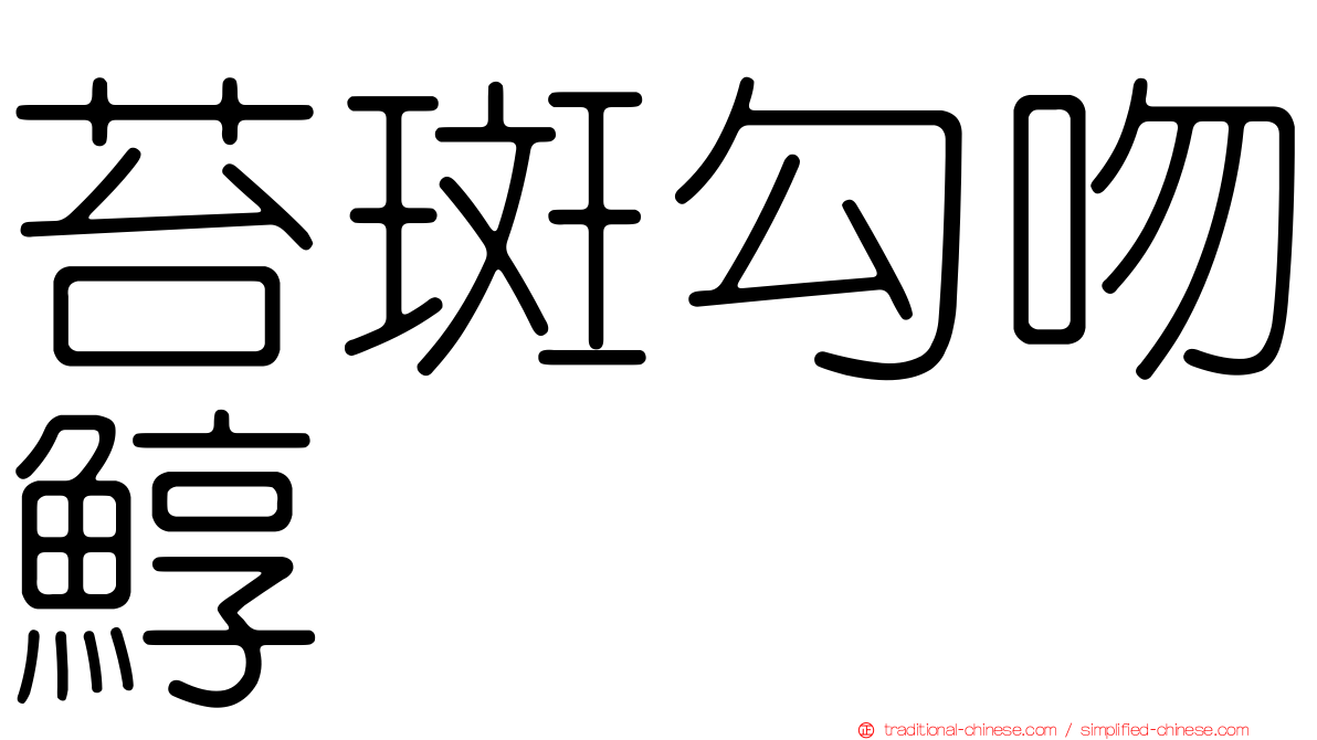 苔斑勾吻鯙