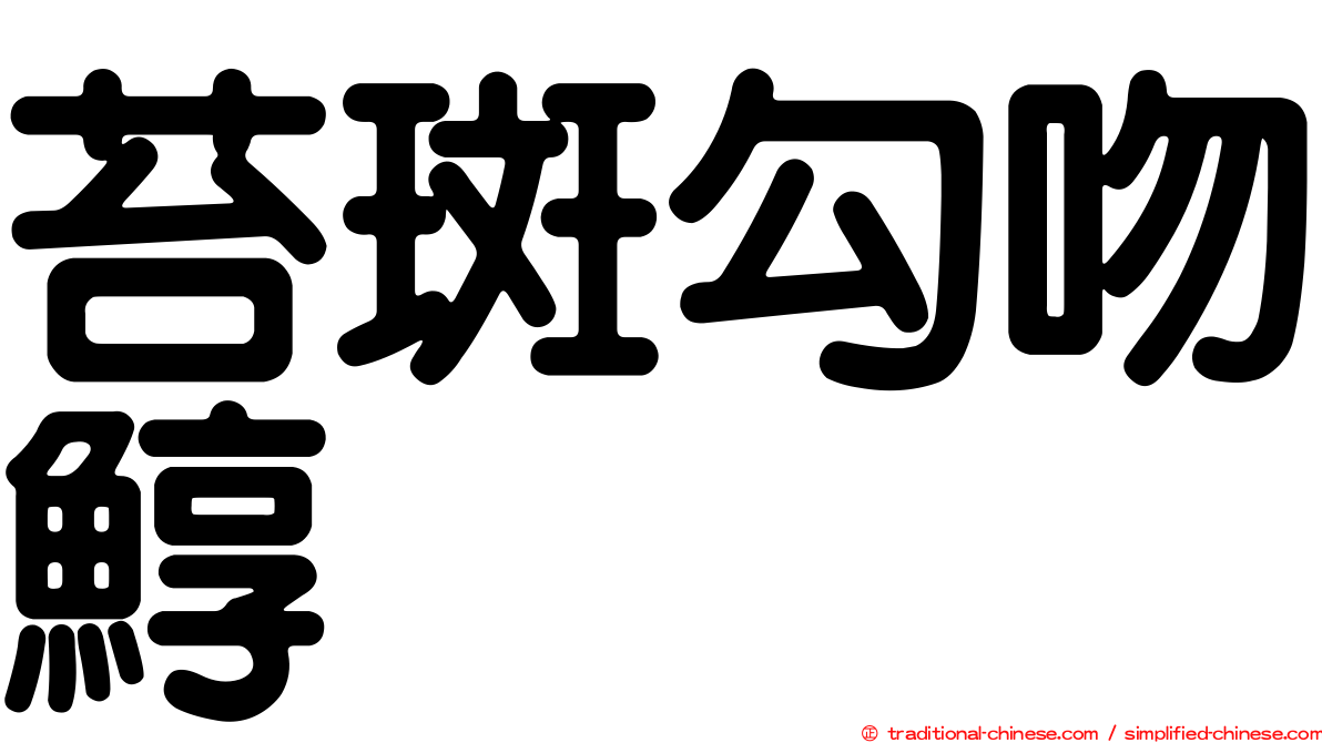 苔斑勾吻鯙