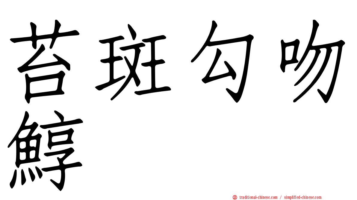 苔斑勾吻鯙