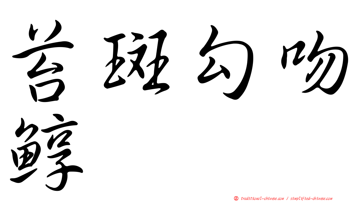 苔斑勾吻鯙