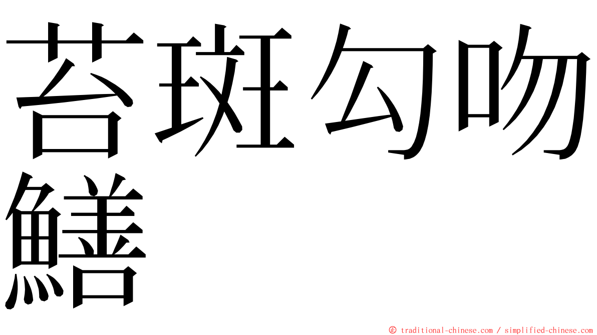 苔斑勾吻鱔 ming font