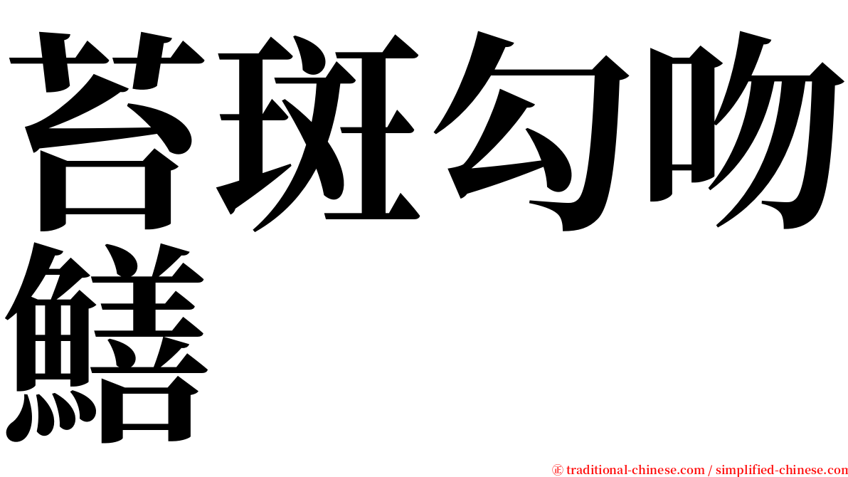 苔斑勾吻鱔 serif font