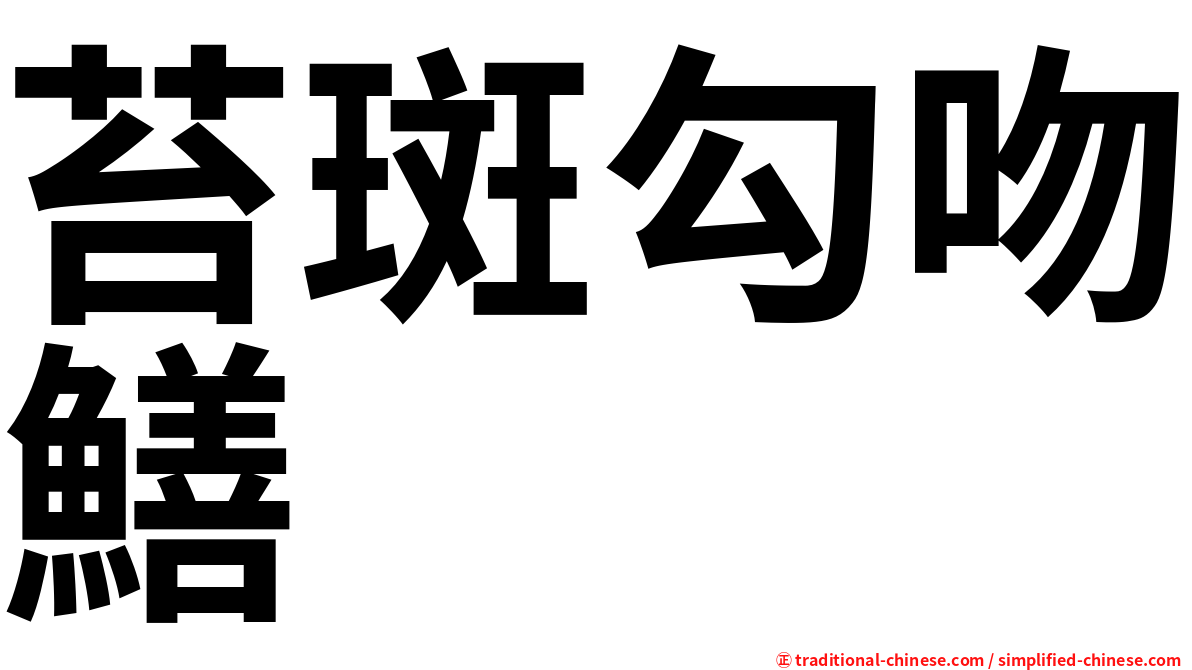 苔斑勾吻鱔