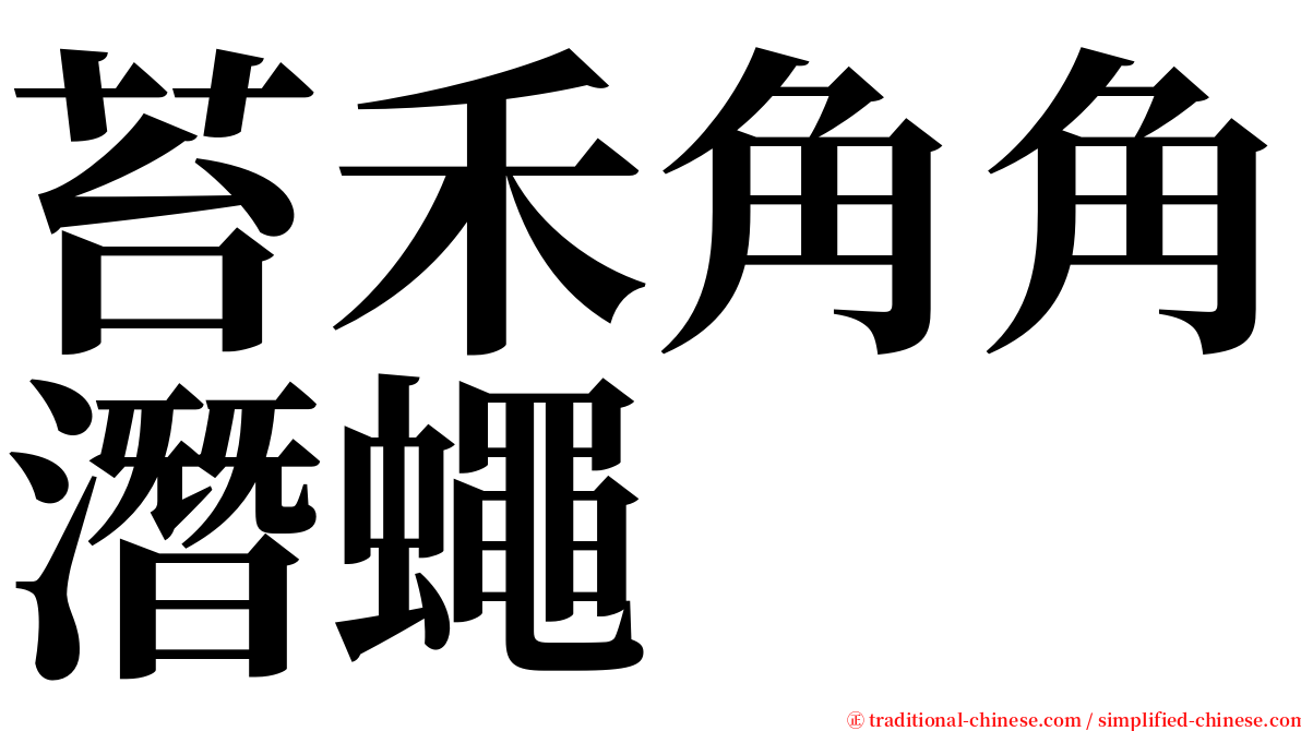 苔禾角角潛蠅 serif font