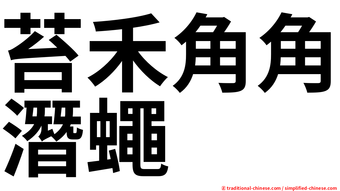 苔禾角角潛蠅