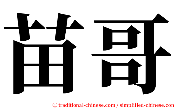 苗哥 serif font