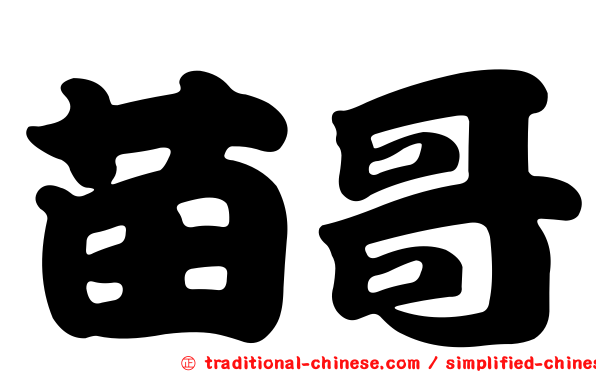 苗哥