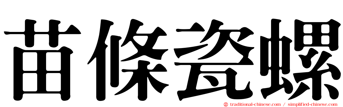 苗條瓷螺