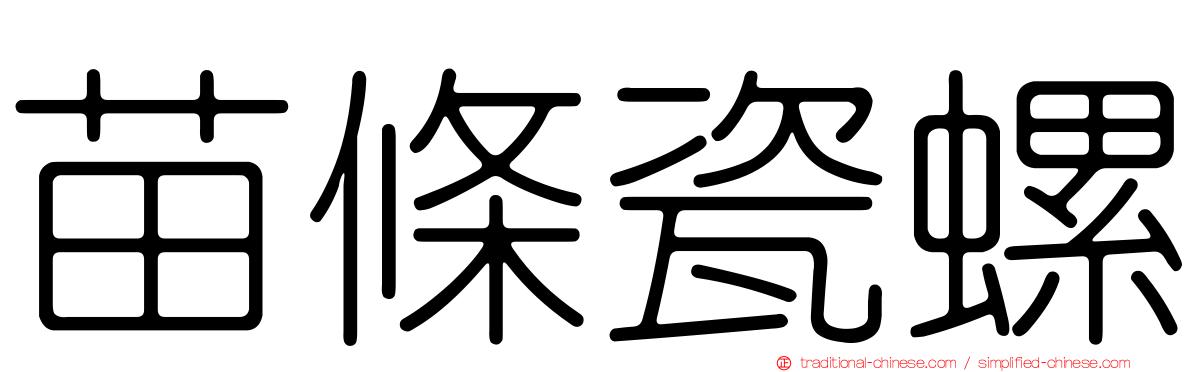苗條瓷螺