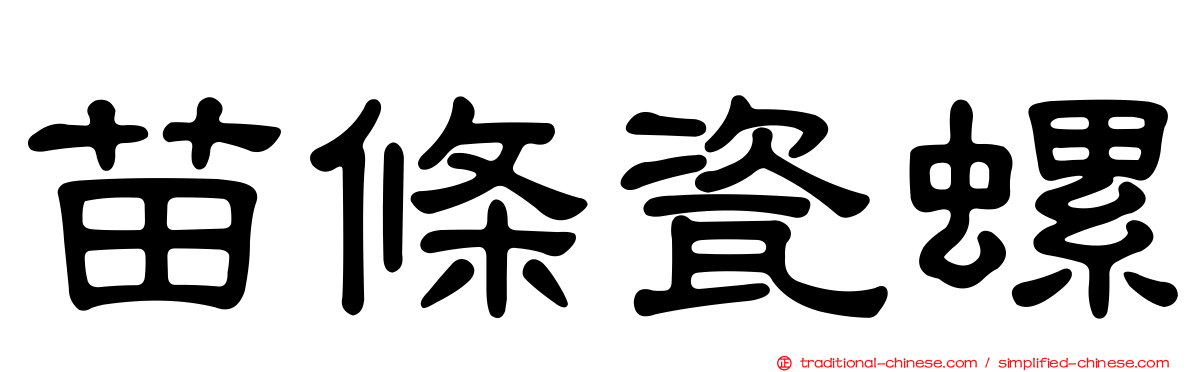 苗條瓷螺