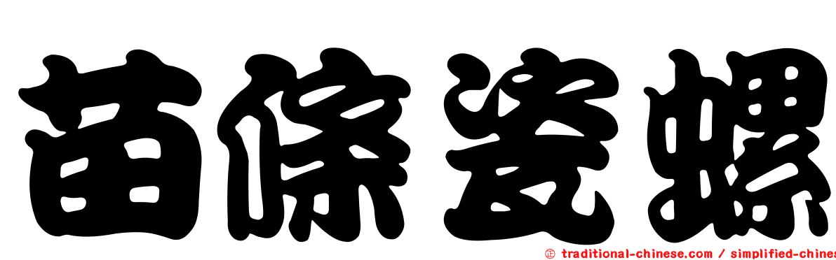 苗條瓷螺