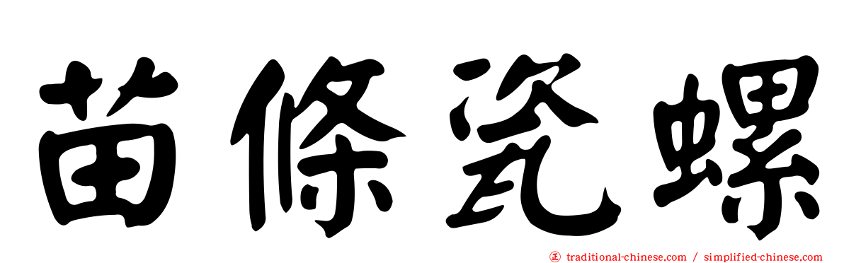 苗條瓷螺