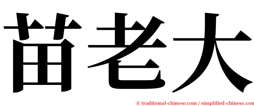 苗老大 serif font