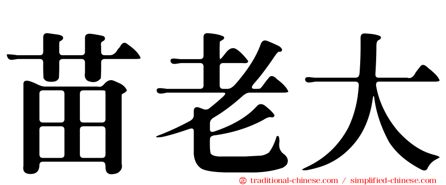 苗老大