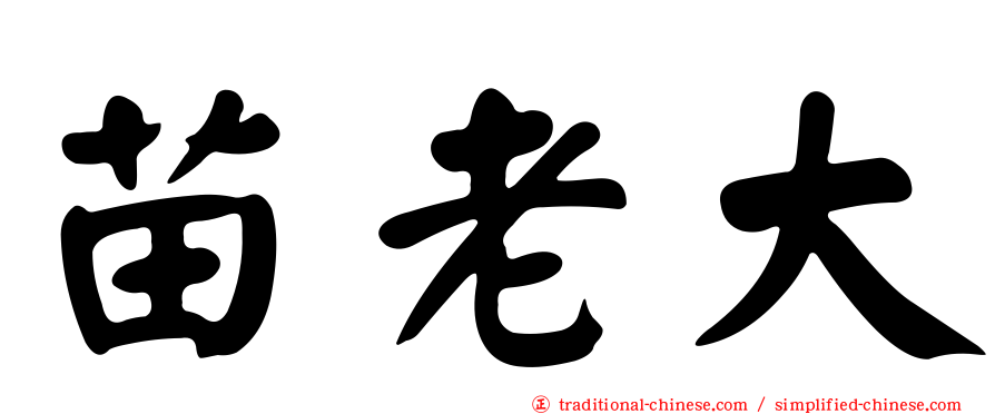 苗老大