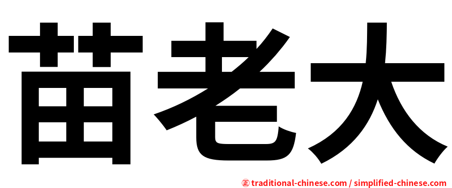 苗老大