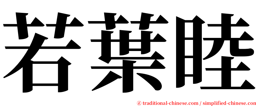 若葉睦 serif font