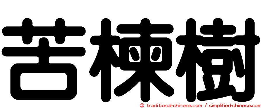 苦楝樹
