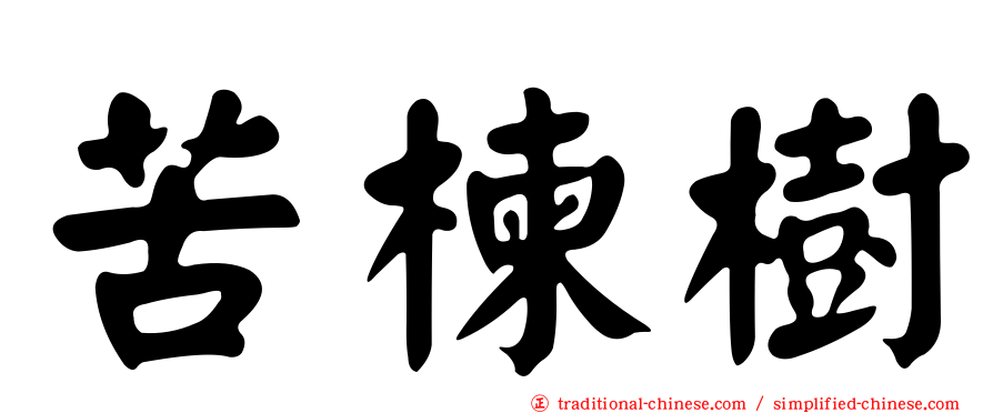 苦楝樹