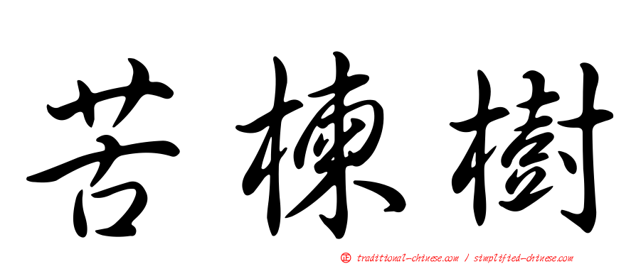 苦楝樹