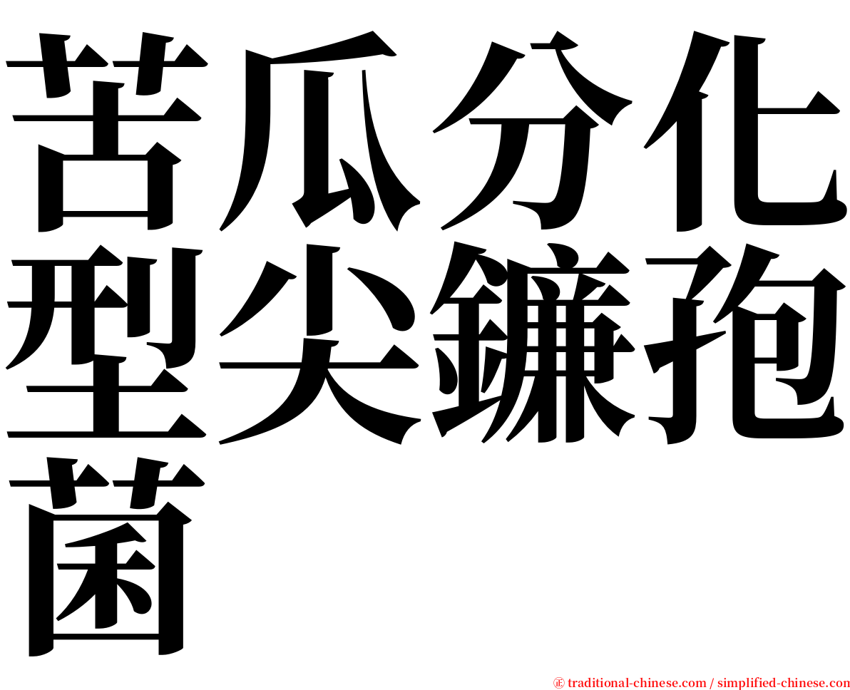 苦瓜分化型尖鐮孢菌 serif font