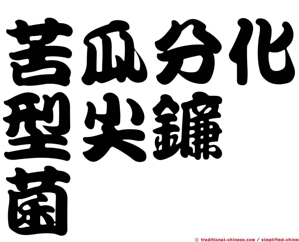 苦瓜分化型尖鐮孢菌