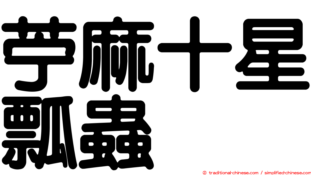 苧麻十星瓢蟲