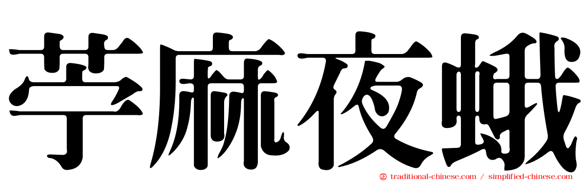 苧麻夜蛾