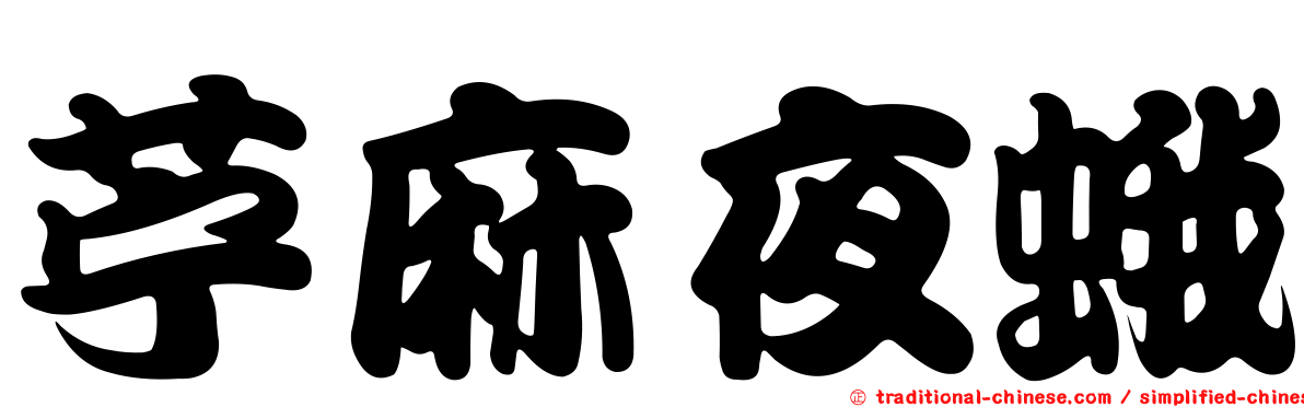 苧麻夜蛾