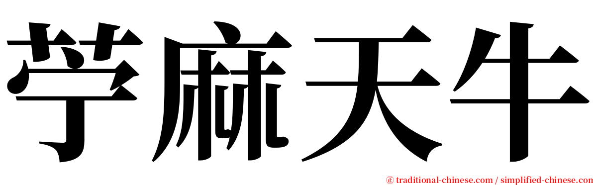 苧麻天牛 serif font
