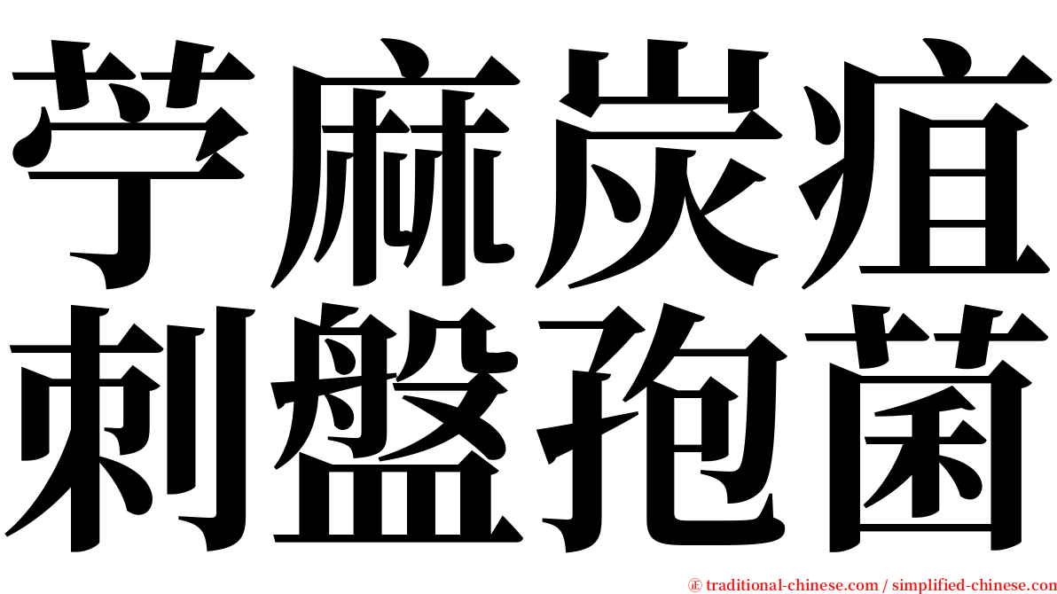 苧麻炭疽刺盤孢菌 serif font