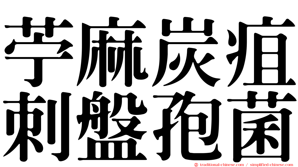 苧麻炭疽刺盤孢菌