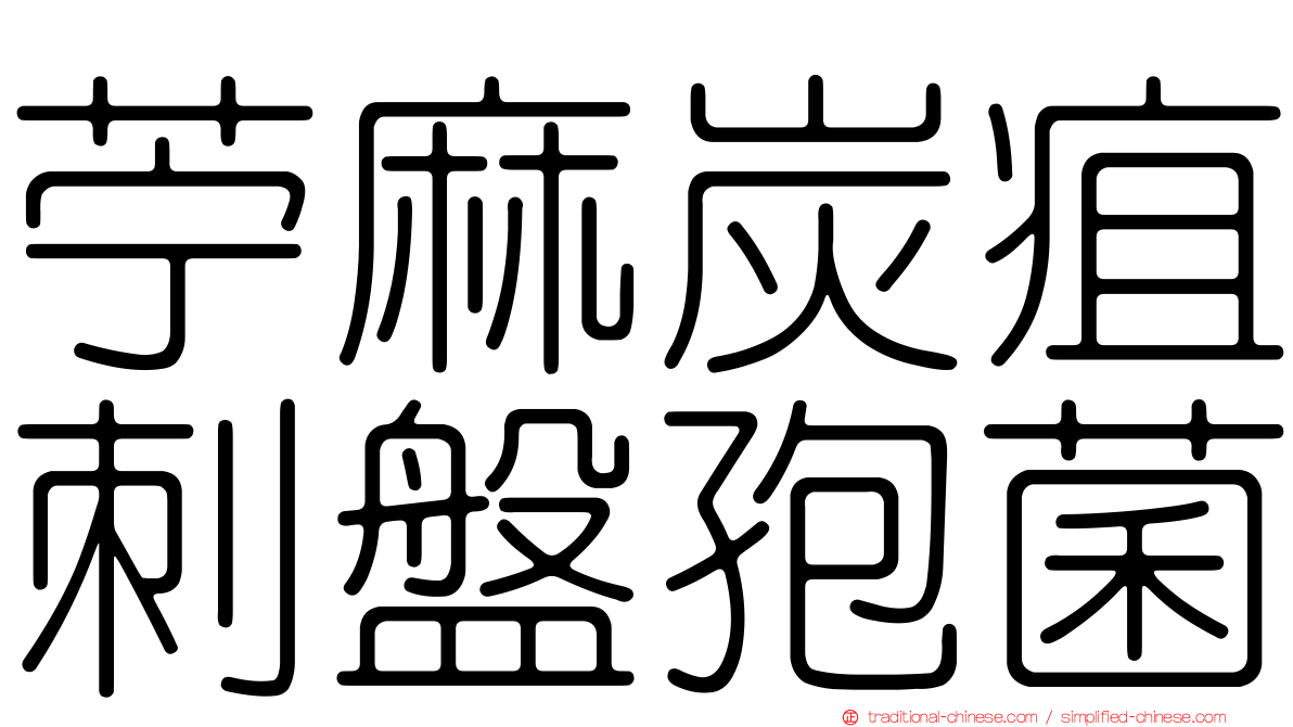 苧麻炭疽刺盤孢菌