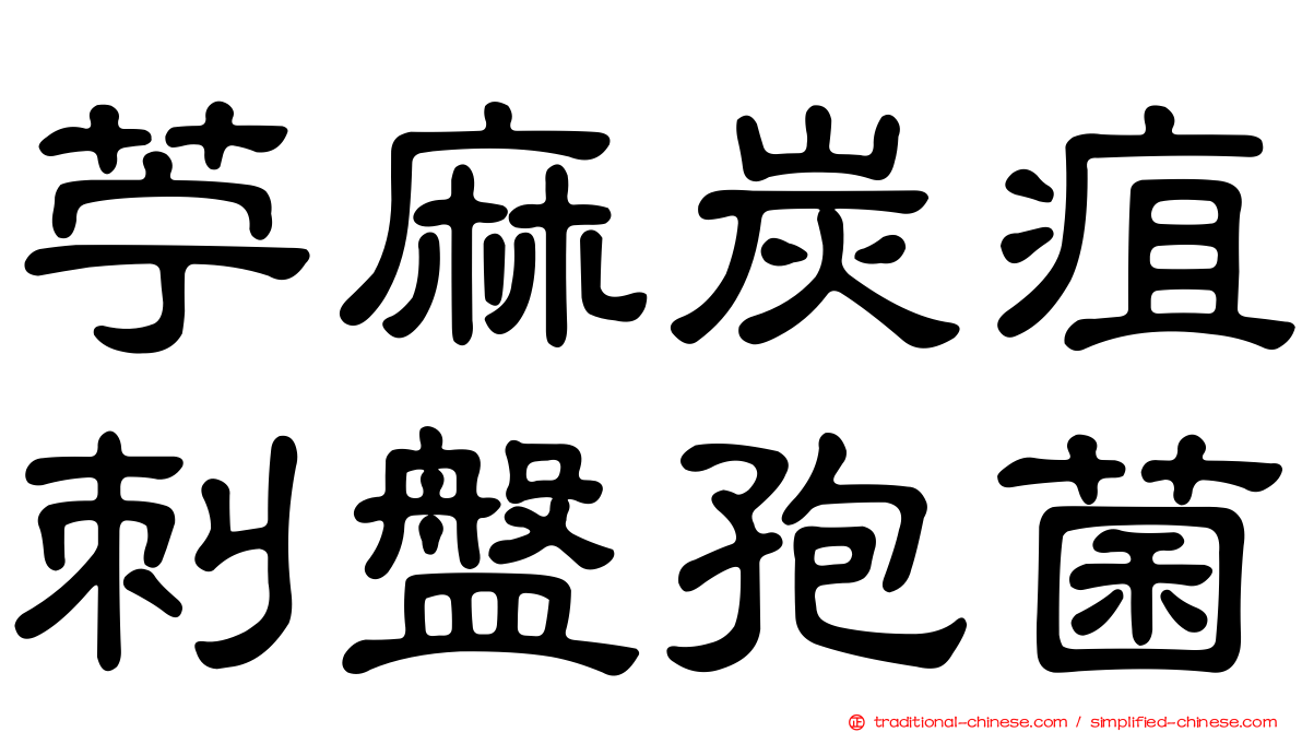 苧麻炭疽刺盤孢菌