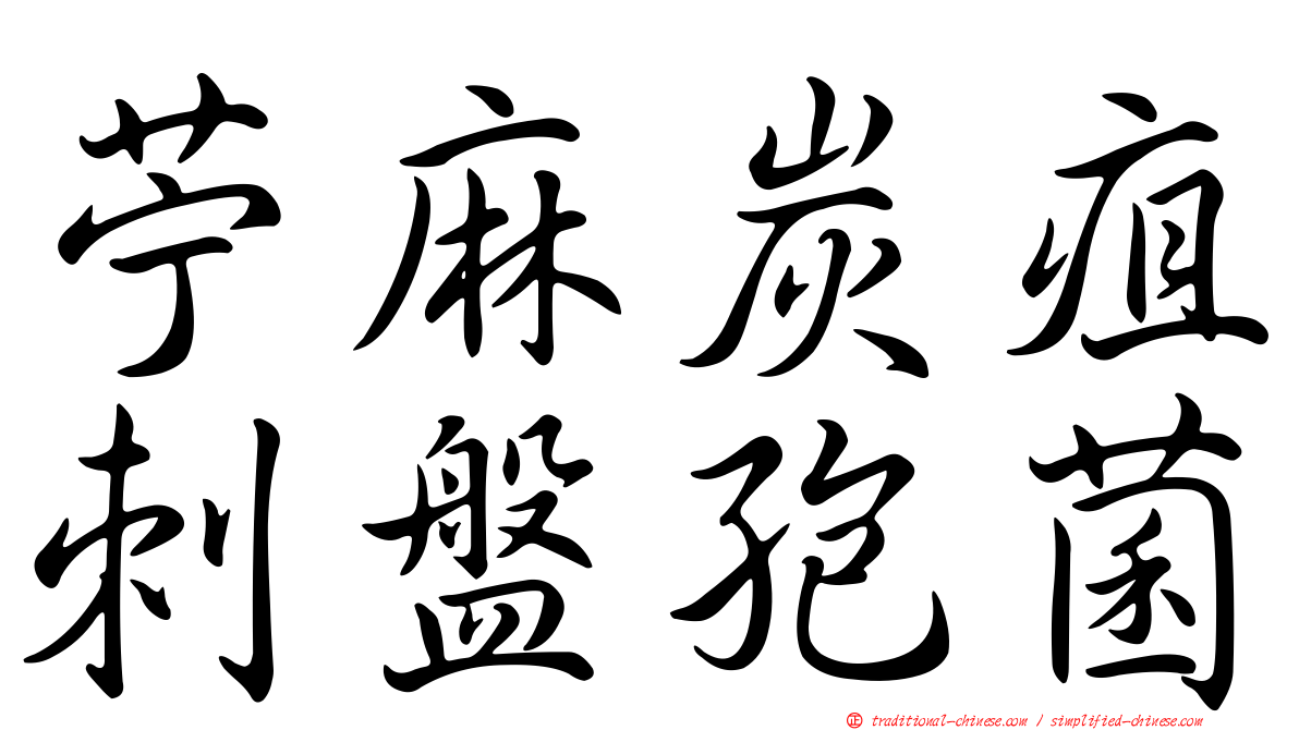 苧麻炭疽刺盤孢菌