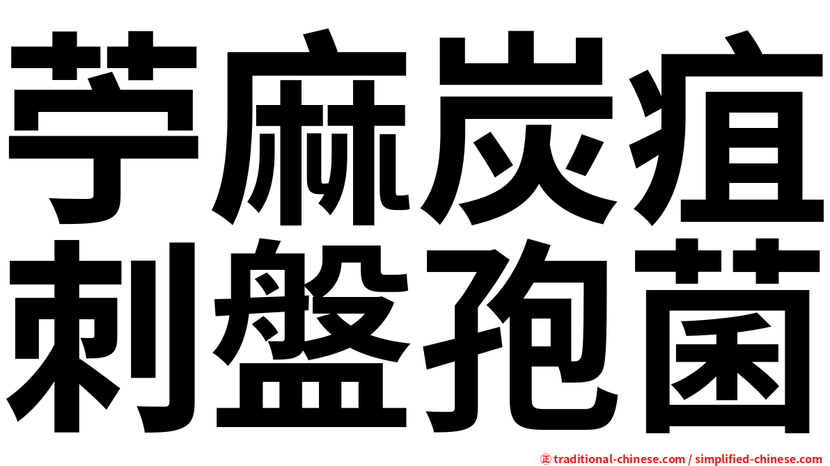 苧麻炭疽刺盤孢菌