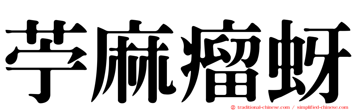 苧麻瘤蚜