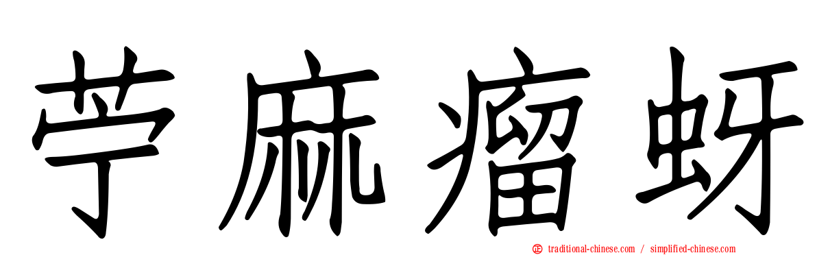 苧麻瘤蚜